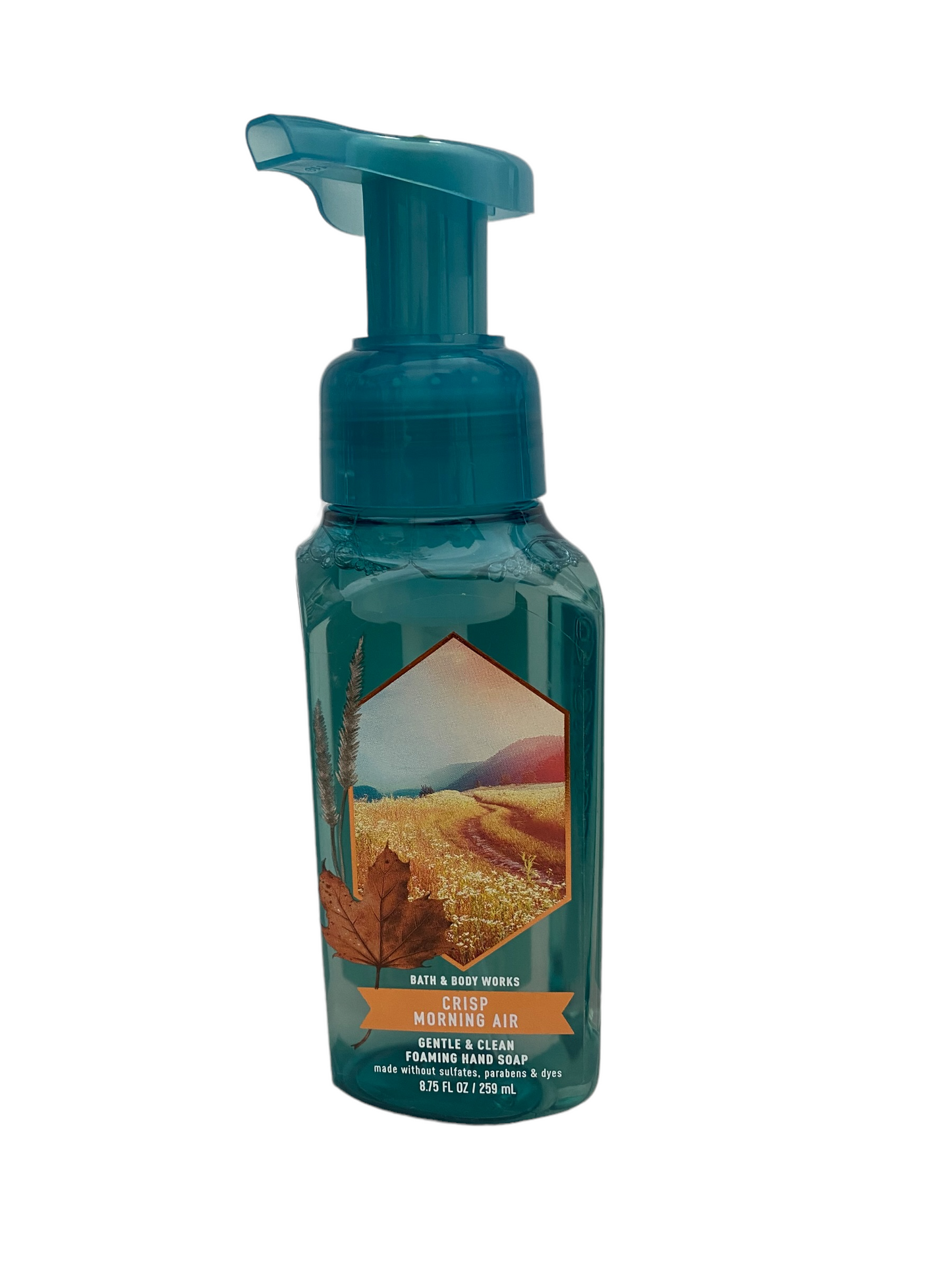Jabon de Manos Bath & Body (Espuma)